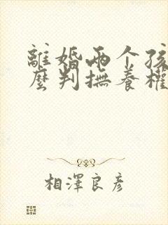 离婚两个孩子怎么判抚养权多少