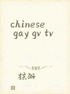 chinese gay gv tv