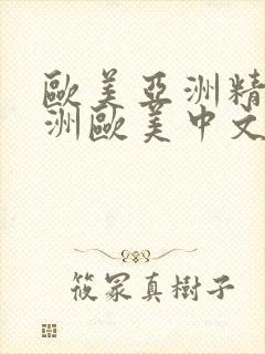 欧美亚洲精品亚洲欧美中文日韩