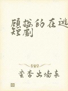 顾总的在逃前妻短剧封面