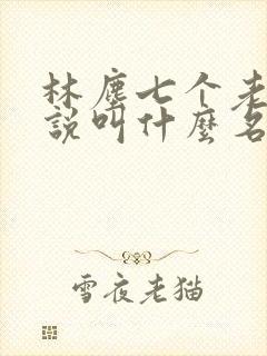 林尘七个老婆小说叫什么名字