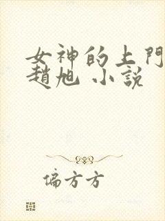 女神的上门豪婿赵旭 小说