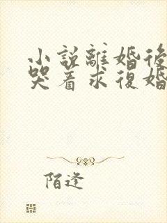 小说离婚后前夫哭着求复婚txt下载