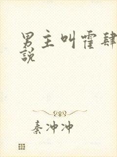 男主叫霍肆的小说