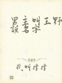 男主叫王野的小说名字封面