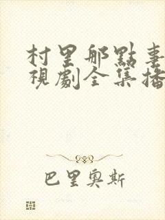 村里那点事儿电视剧全集播放