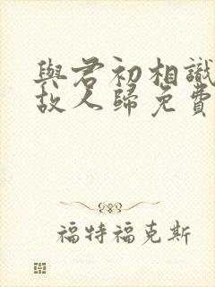 与君初相识恰似故人归免费观看封面