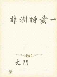 非洲特黄一级片