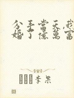 分手当天,我闪婚了亿万富豪小说免费阅读