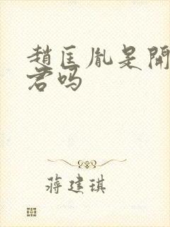 赵匡胤是开国之君吗