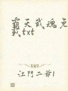 霸天武魂免费下载txt封面