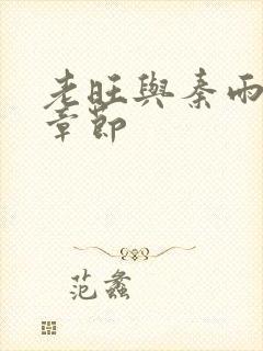 老旺与秦雨最新章节