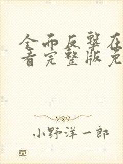 全面反击在线观看完整版免费高清封面