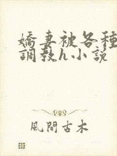 娇妻被各种刑具调教h小说