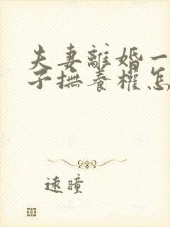 夫妻离婚一个孩子抚养权怎么判定封面