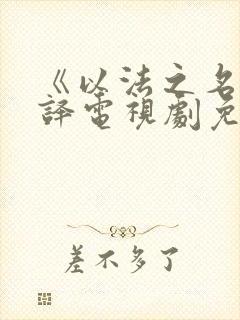 《以法之名》张译电视剧免费观看全部