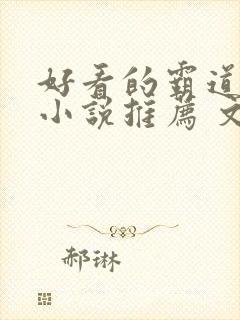 好看的霸道总裁小说推荐 文笔好封面