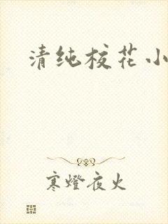 清纯校花小说h