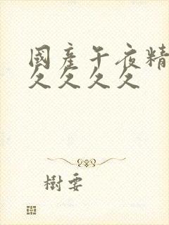 国产午夜精品久久久久久