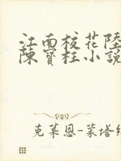 江南校花陆冰嫣陈宝柱小说免费阅读封面