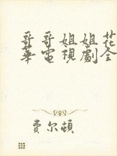 哥哥姐姐花样年华电视剧全集40集