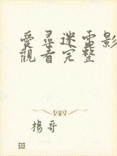 爱寻迷电影在线观看完整