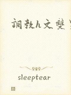 调教h文双男封面