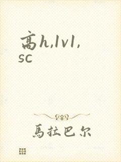 高h,1v1,sc