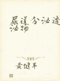 尿道分泌透明分泌物