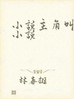 小说主角叫秦南小说