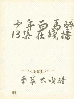 少年白马醉春风13集在线播放封面