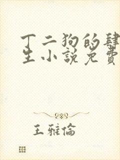 丁二狗的肆意人生小说免费听书