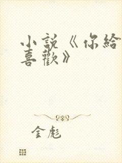 小说《你给我的喜欢》