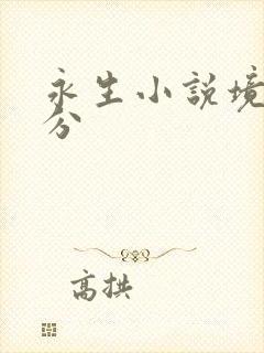 永生小说境界划分