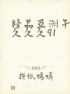 精品亚洲午夜久久久久91封面