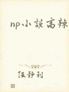 np小说高辣h封面