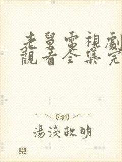 老舅电视剧免费观看全集完整版高清封面