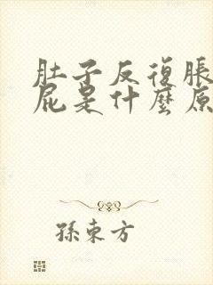 肚子反复胀气放屁是什么原因