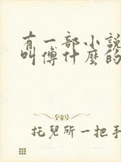 有一部小说男主叫傅什么的