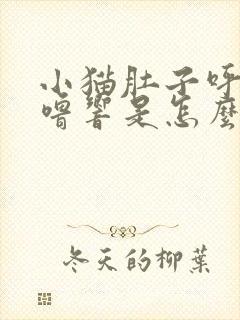 小猫肚子呼噜呼噜响是怎么回事