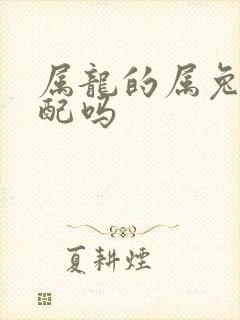 属龙的属兔的相配吗封面