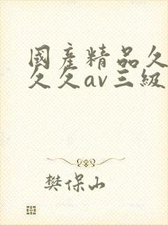 国产精品久久久久久av三级