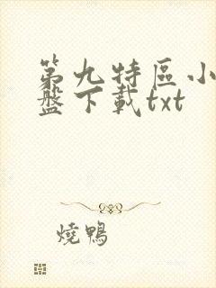 第九特区小说网盘下载txt封面