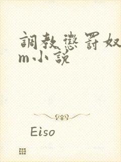 调教惩罚奴隶sm小说封面