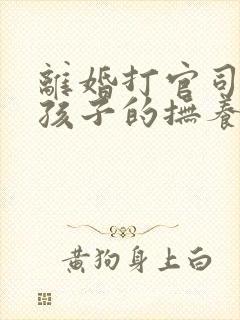 离婚打官司争取孩子的抚养权