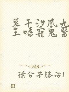 慕千汐凰九夜邪王嗜宠鬼医狂妃免费阅读