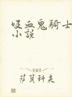 吸血鬼骑士同人小说封面