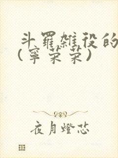 斗罗杂役的崛起(宁荣荣)