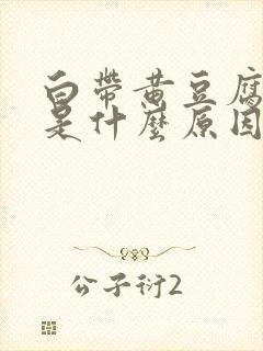 白带黄豆腐渣状是什么原因造成的