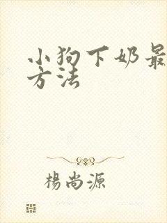 小狗下奶最快的方法